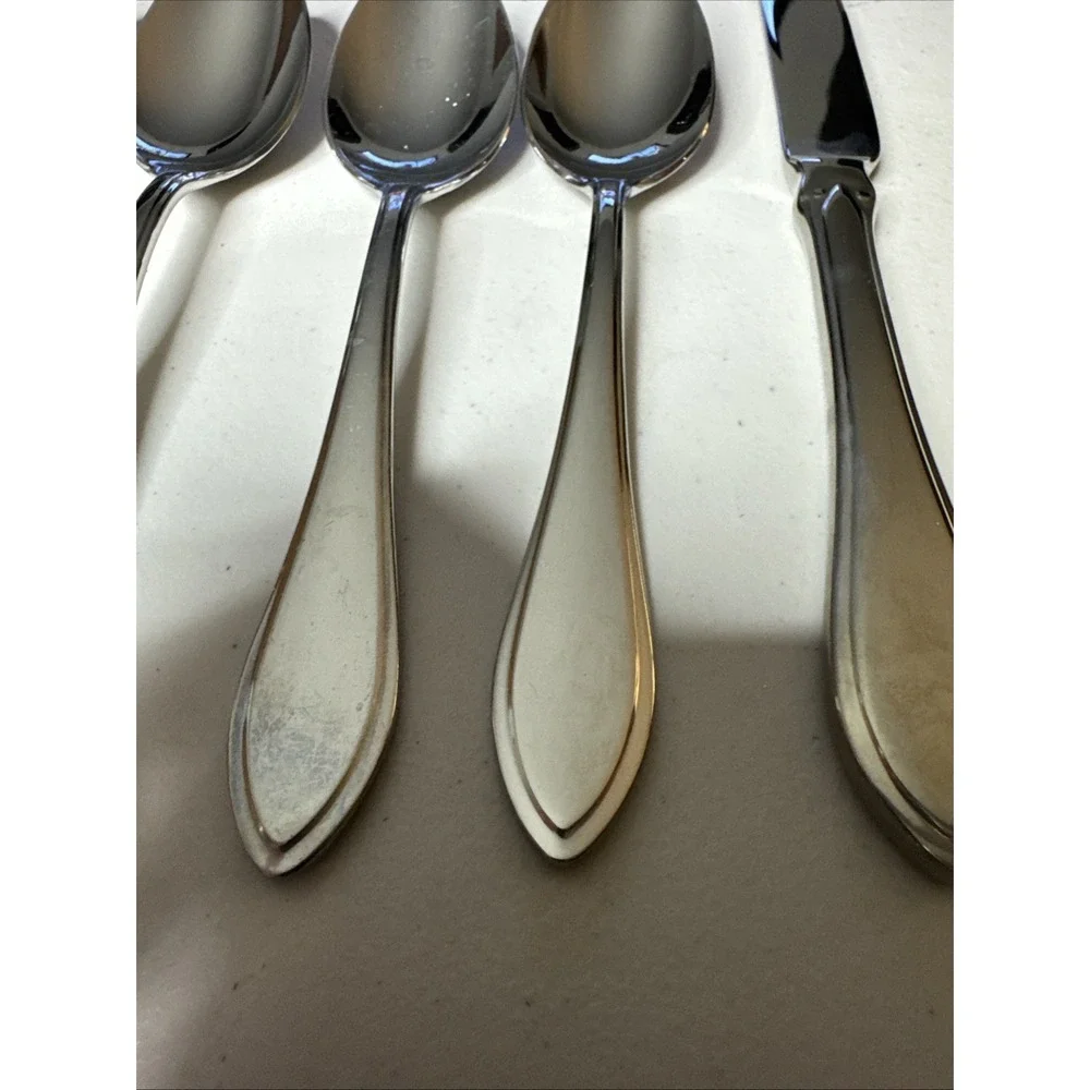 Oneida astair stainless